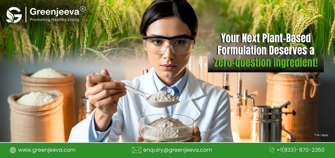 Key Things to Know Before You Source Bulk Organic Rice Protein Powder 